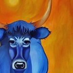 Blauwe koe 1