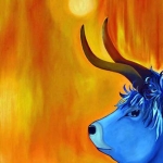 Blauwe koe 2