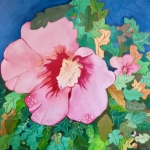 Hibiscus "Oiseau Bleu"