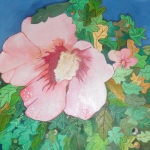Hibiscus 