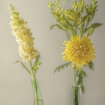 compositie met gele bloemen