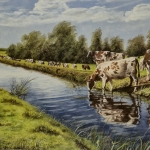 Cows at the edge of the ditch