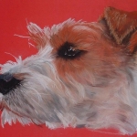 (1) Jack Russell