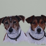 Jack Russells