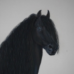 (1) Friesche Hengst