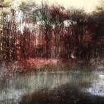 landschap