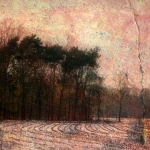 landschap2