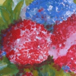 hortensia in aquarel