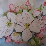 Appelbloesem voorjaar