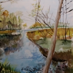 Bosgezicht met water