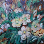 Kerstroos Helleboris