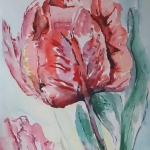 Tulp impressie