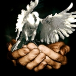 Vredesduif