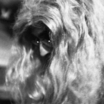 Erotic Game (werk 2)