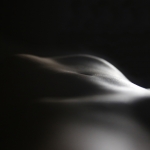 Lichaam als landschap werk 12