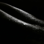 Waterscape (waterlandschap)