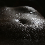 Waterscape (waterlandschap)