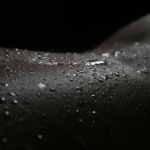 Waterscape (waterlandschap)