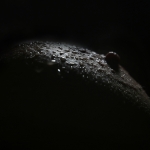 Waterscape (waterlandschap)