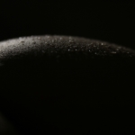 Waterscape (waterlandschap) 1