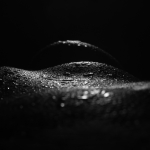 Waterscape (waterlandschap) 3