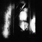 Exclusieve serie: Fall into Decay 7