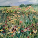 Veld met wilde bloemen