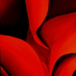 ROSE 15