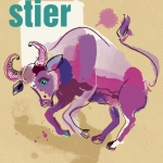 Stier