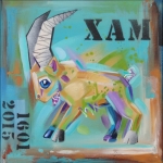 Steenbok - geboorte Xam