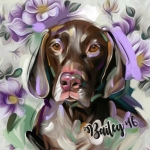 Bailey 2016