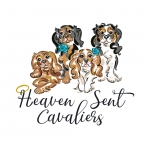 Logo Heaven Sent Cavaliers