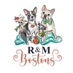 R&M Bostons