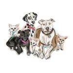 Illustration of dog group