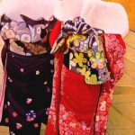 geisha's