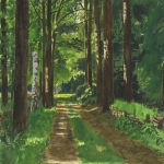 Landgoed De Wielewaal in Eindhoven