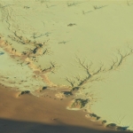 Kleivlakte in de Sossusvlei