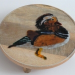 Plateau met mandarijneend