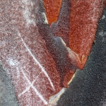 Driehoekspalm Madagaskar (detail) II