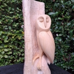 Uil in lindenhout