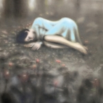 Where the wild roses grow