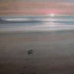 The dream of the blue turtles