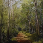 Diaconievene Nijeberkoop