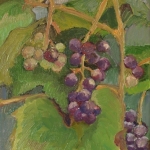 druiven