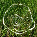 Spiraal zilver in het gras