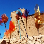 Travelling Flowers Marokko