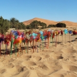 Travelling Flowers Sahara 1