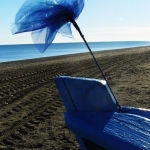 11. Blue flower on the beach