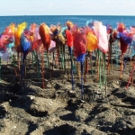 14. Flowers on the beach