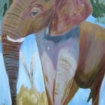 olifant Bo